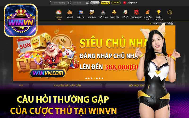 Câu hỏi thường gặp của cược thủ tại Winvn