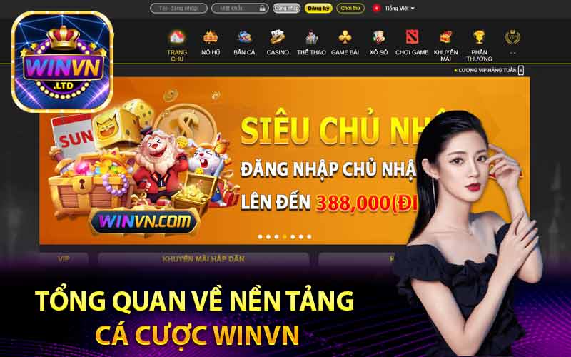 Tổng quan về nền tảng cá cược Winvn